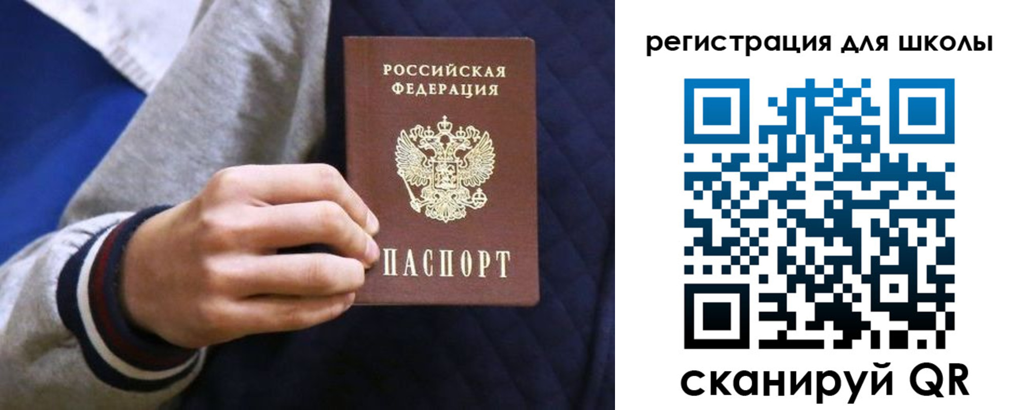 прописка для работы в Рошале